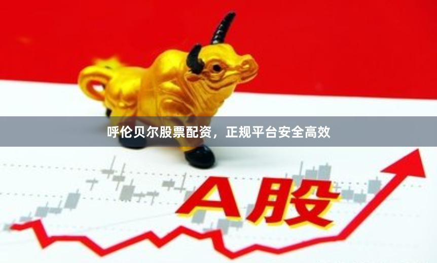 呼伦贝尔股票配资，正规平台安全高效