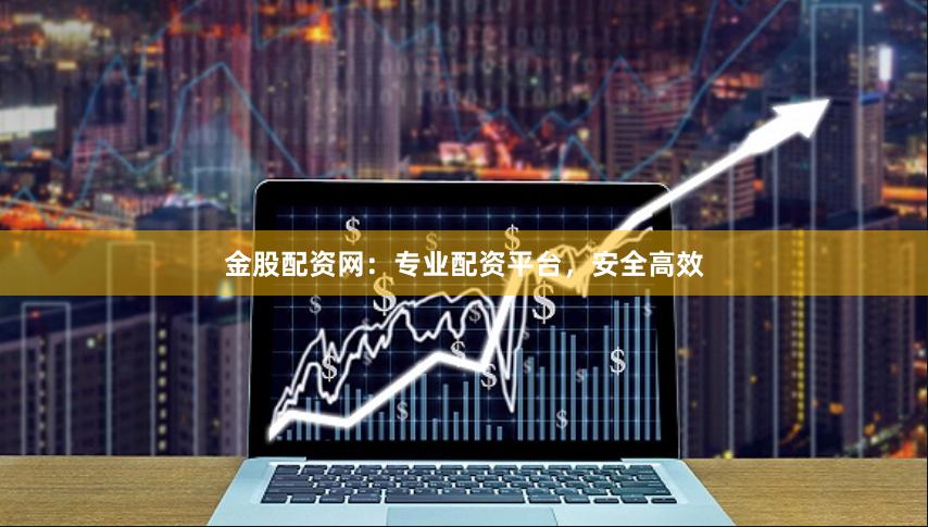 金股配资网：专业配资平台，安全高效
