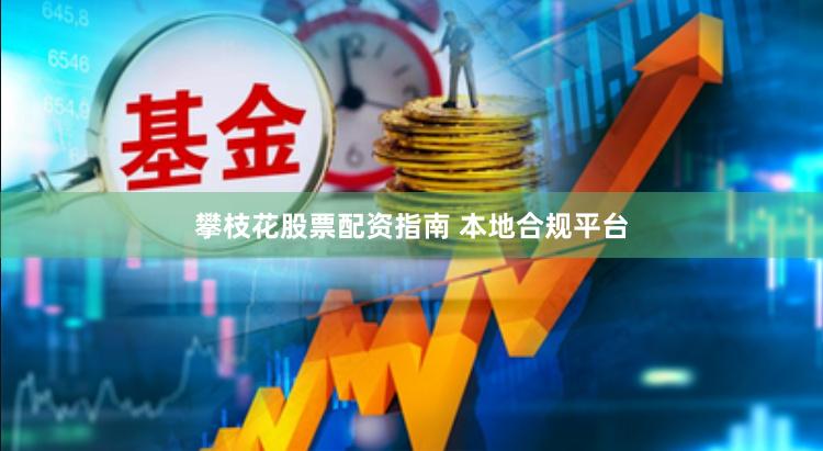攀枝花股票配资指南 本地合规平台