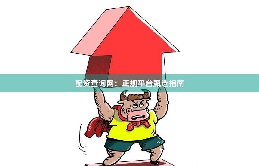 配资查询网：正规平台甄选指南