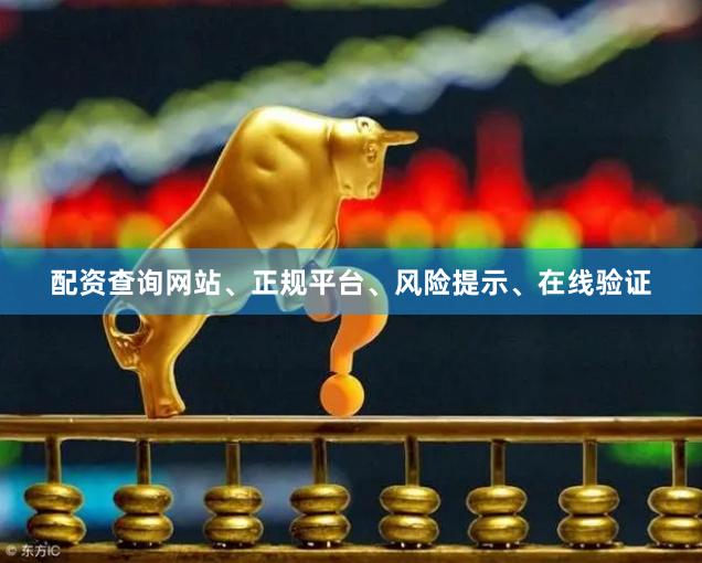 配资查询网站、正规平台、风险提示、在线验证