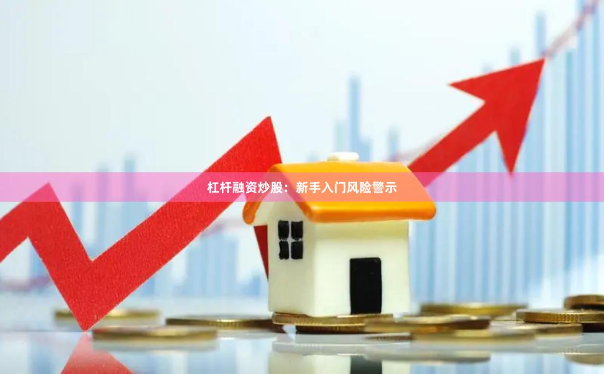 杠杆融资炒股:新手入门风险警示
